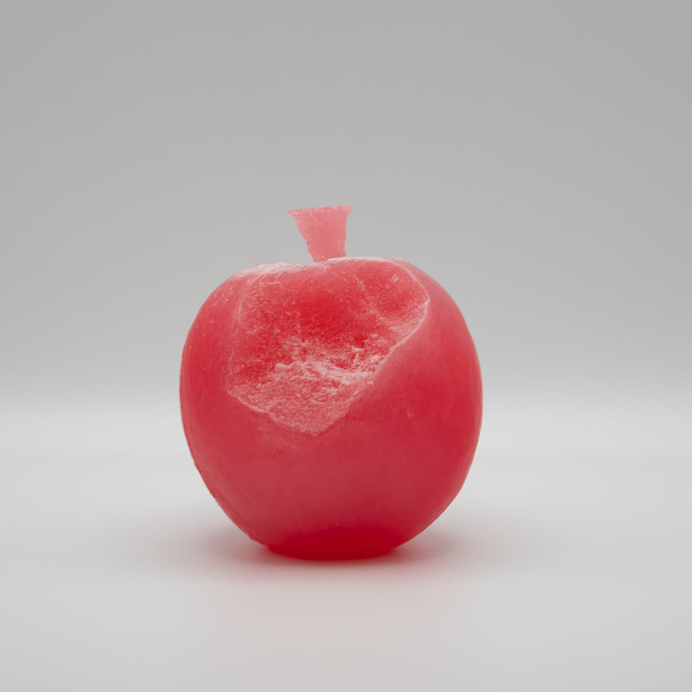 THE BITE / A003