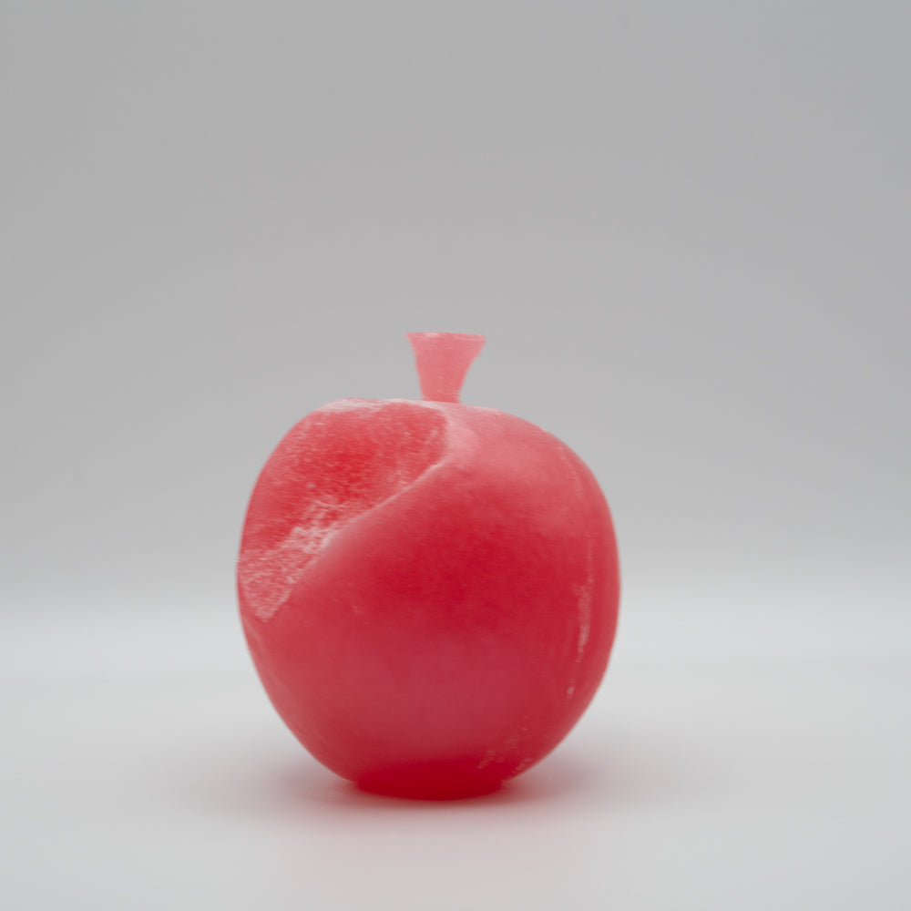 THE BITE / A003